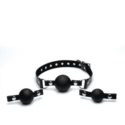 Interchangeable Silicone Ball Gag Set