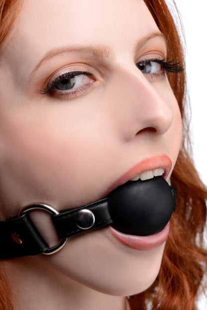 Interchangeable Silicone Ball Gag Set