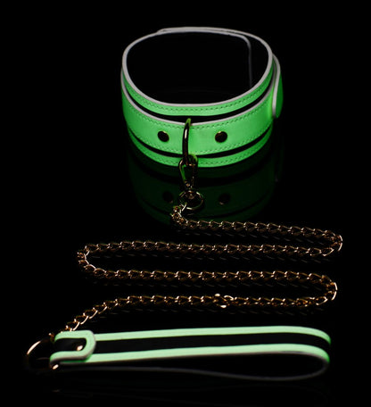 Glow-in-the-Dark Collar with Leash