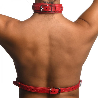 Female Chest Harness- Medium/Large (M/L)