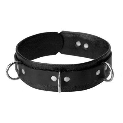 Deluxe Leather Locking Collar